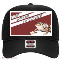 I Exist Without My Consent Funny Meme Frog Hat thumb 0
