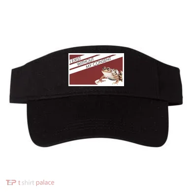 Visor