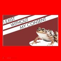 I Exist Without My Consent Funny Meme Frog Santa Hat thumb 1