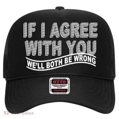 If I Agree With You We'll Both Be Wrong Funny Hat
