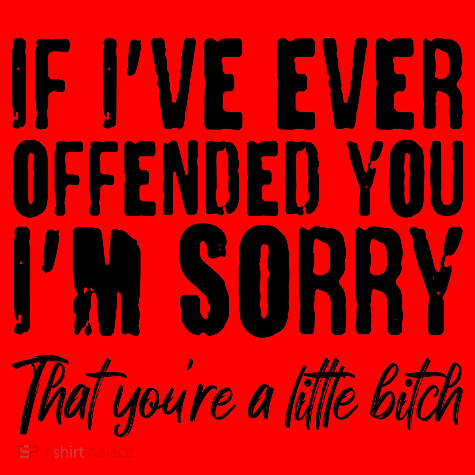 If I've Ever Offended You I'm Sorry That You're A Little B!tch Santa Hat