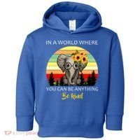 If You Can Be Anything Be Kind In This World Toddler Hoodie thumb 0