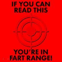 If You Can Read This You're In Fart Range Santa Hat thumb 1