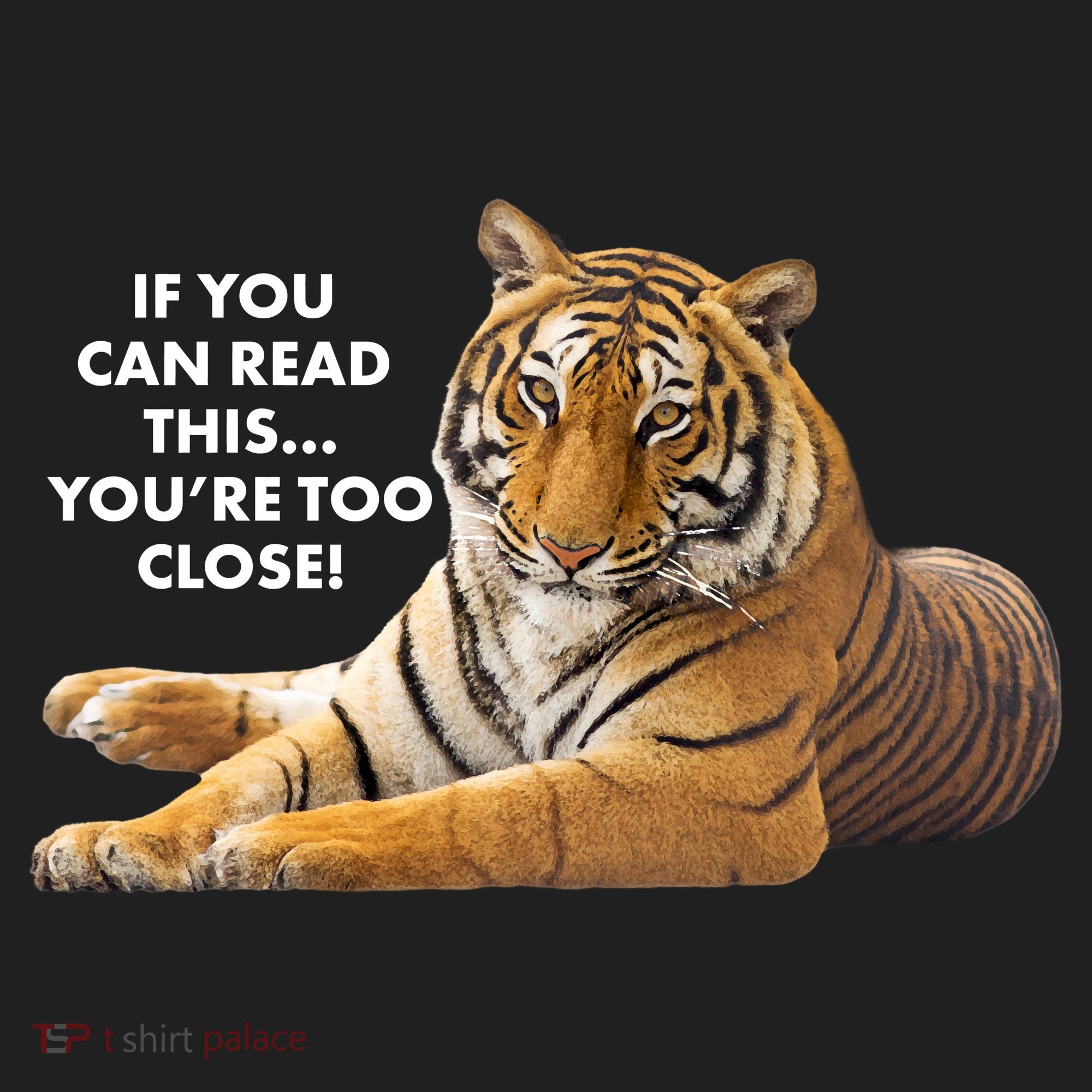 If You Can Read This You're Too Close Funny Tiger Women's Sweatshirt