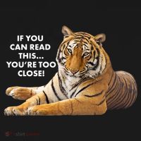 If You Can Read This You're Too Close Funny Tiger Bucket Hat thumb 4