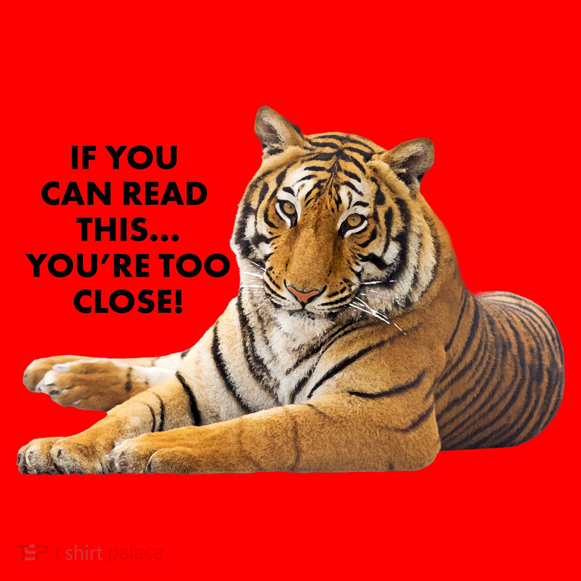 If You Can Read This You're Too Close Funny Tiger Santa Hat