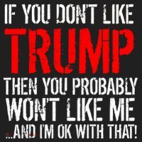 If you don't like Trump Funny Beanie thumb 2