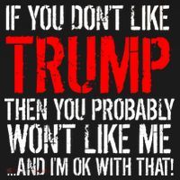 If you don't like Trump Funny Visor thumb 3