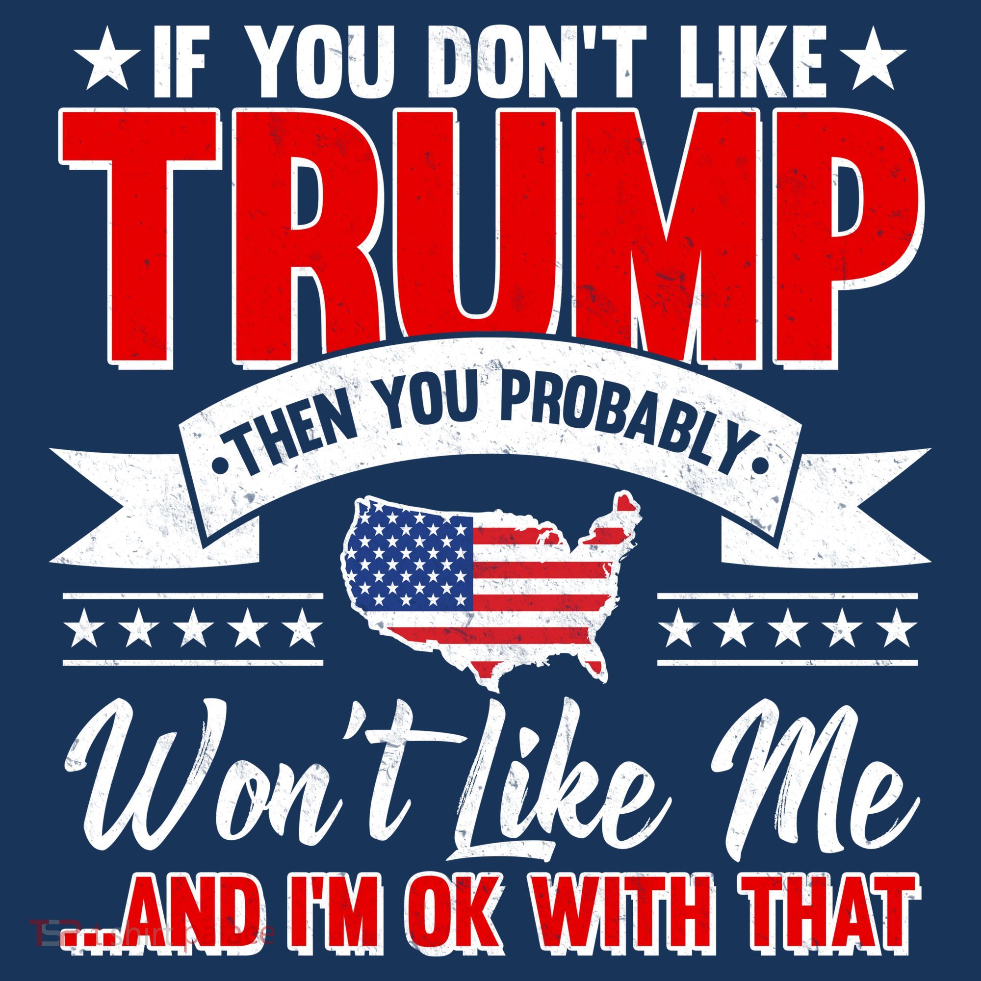 If You Don't Like Trump Then You Probably Won't Like Me Apron