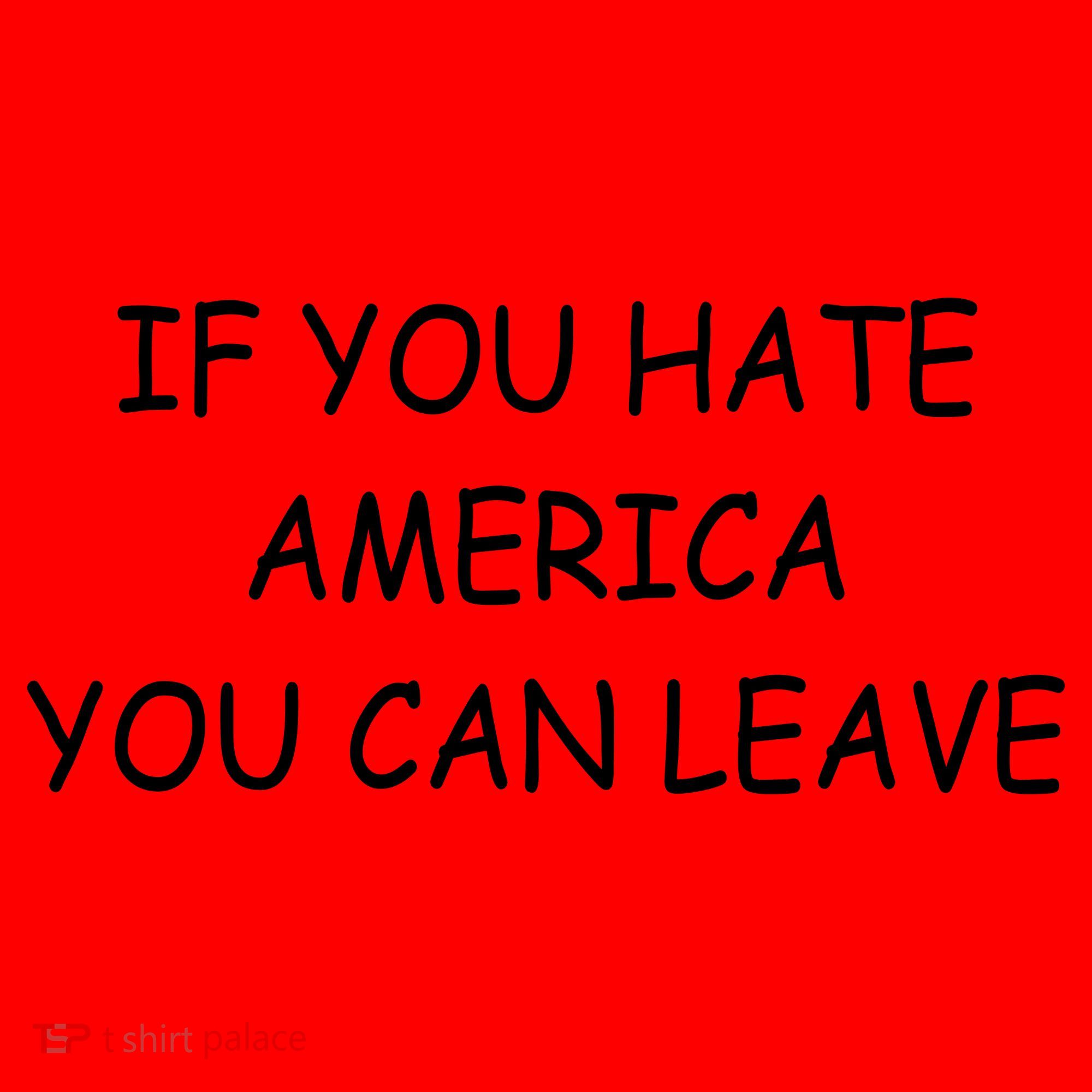 If You Hate American You Can Leave Santa Hat