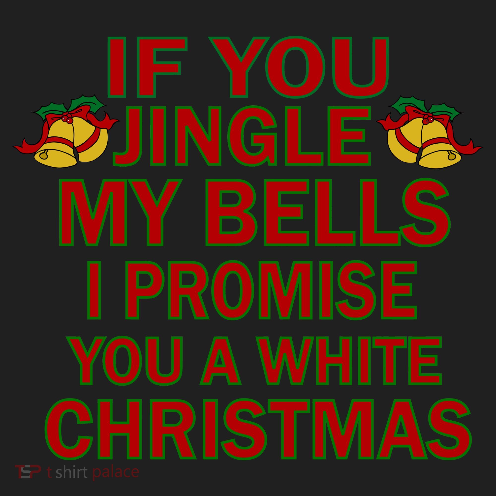 If You Jingle My Bells I Promise You A White Christmas Hat