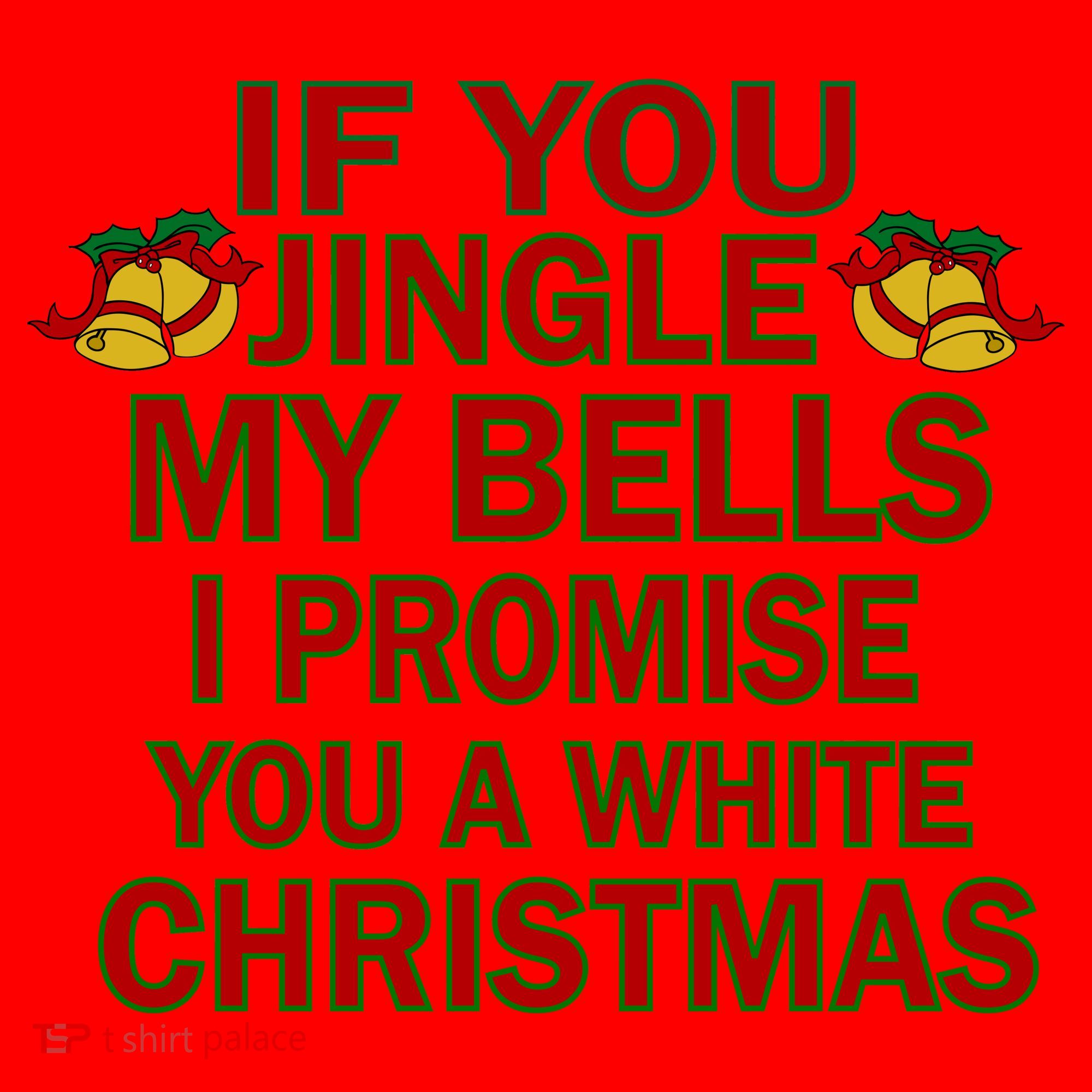 If You Jingle My Bells I Promise You A White Christmas Santa Hat