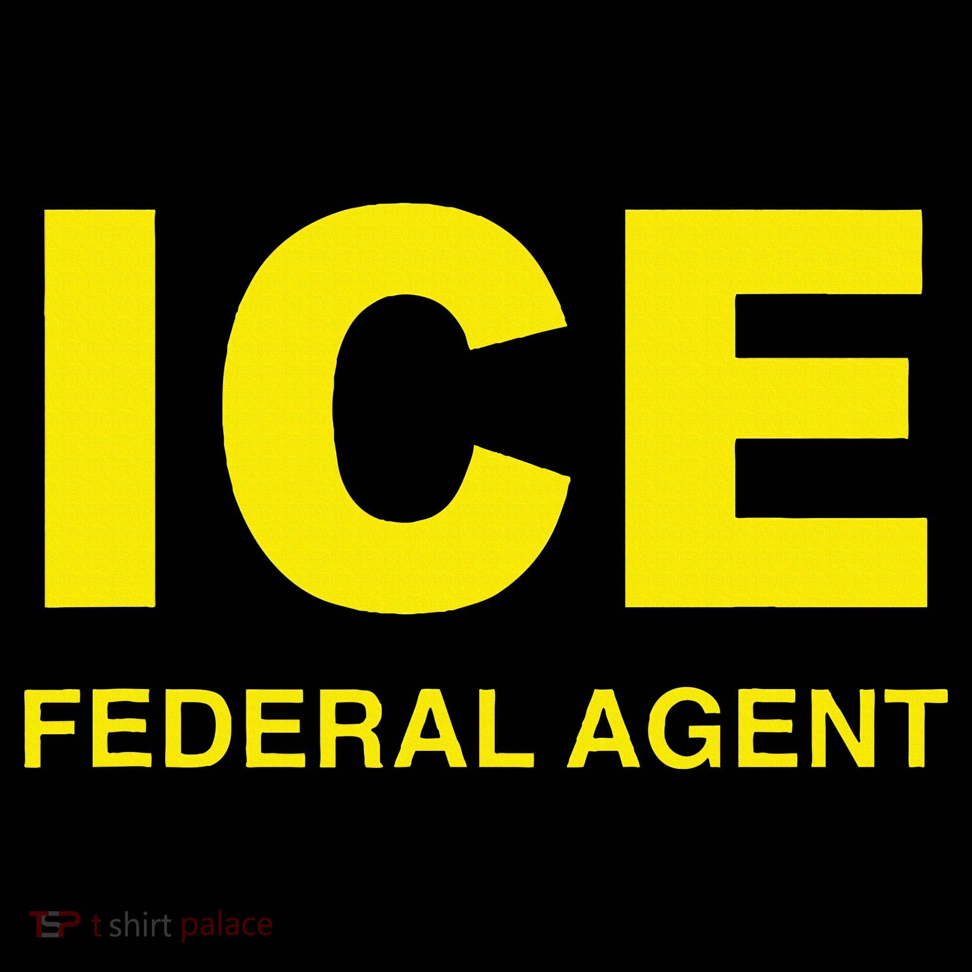 Ice Federal Agent Us Border Patrol Women's Hoodie