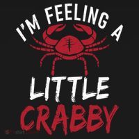 Im Feeling A Little Crabby Funny Crab Owner Gift Bucket Hat thumb 4
