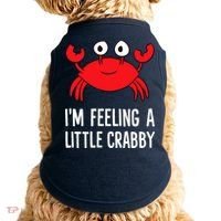I'm Feeling A Little Crabby Funny Cartoon Crab Lobster Doggie Tank thumb 0