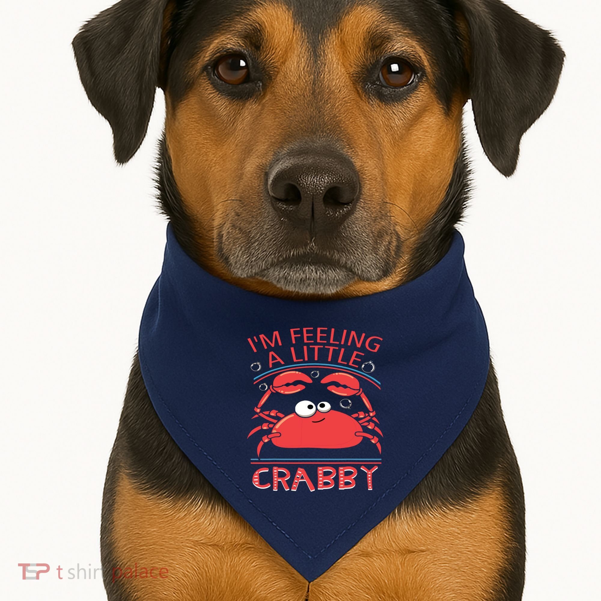I'm Feeling A Little Crabby Funny Cartoon Crab USA-Made Doggie Bandana