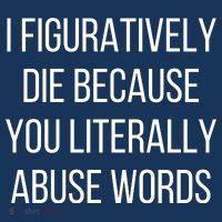 I Figuratively Die Because You Literally Abuse Words Coaster thumb 2