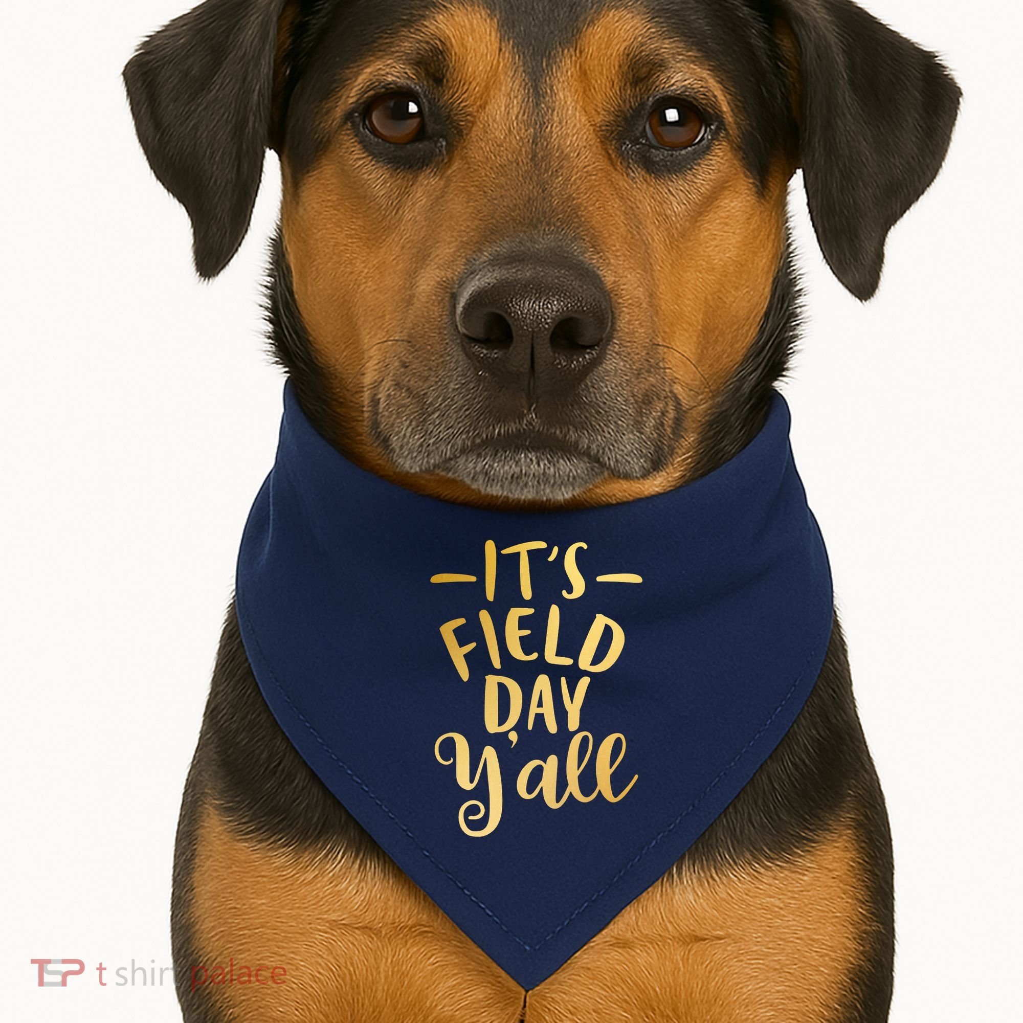 It's Field Day Y'all USA-Made Doggie Bandana