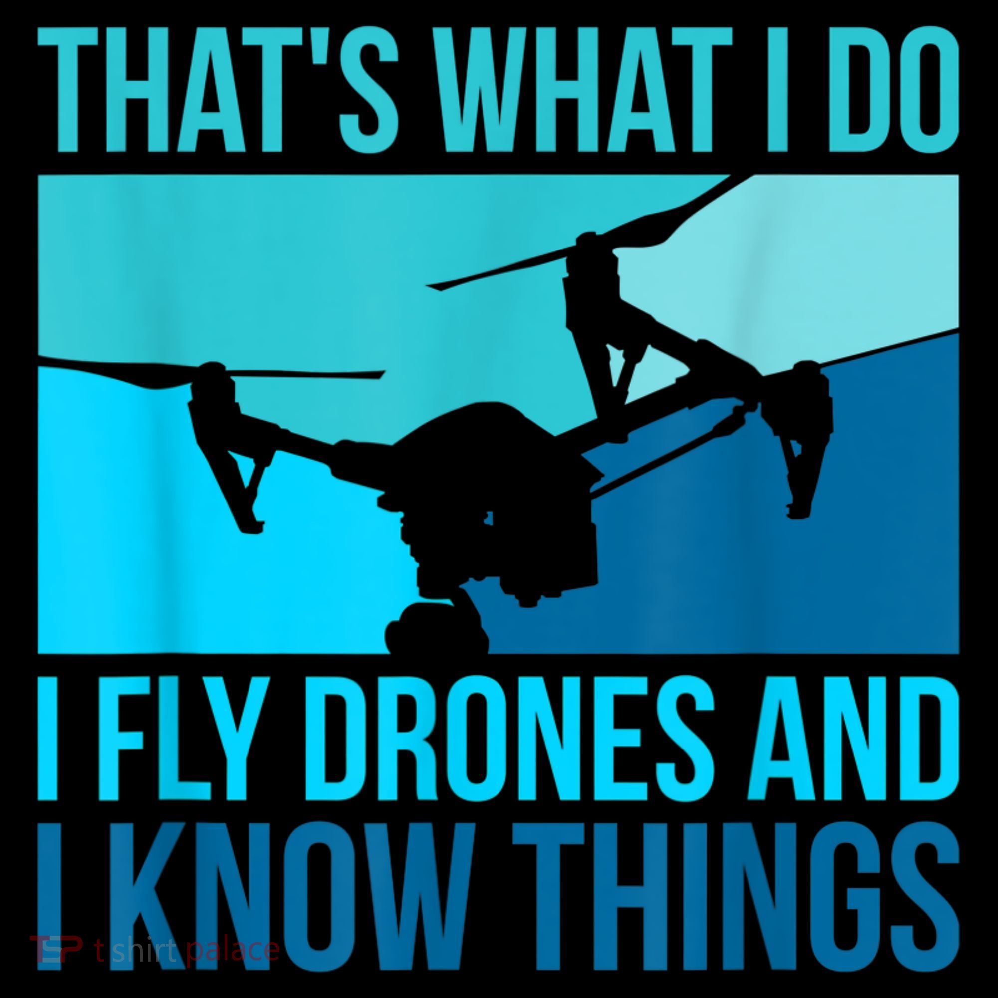 I Fly Drones & I Know Things Hoodie