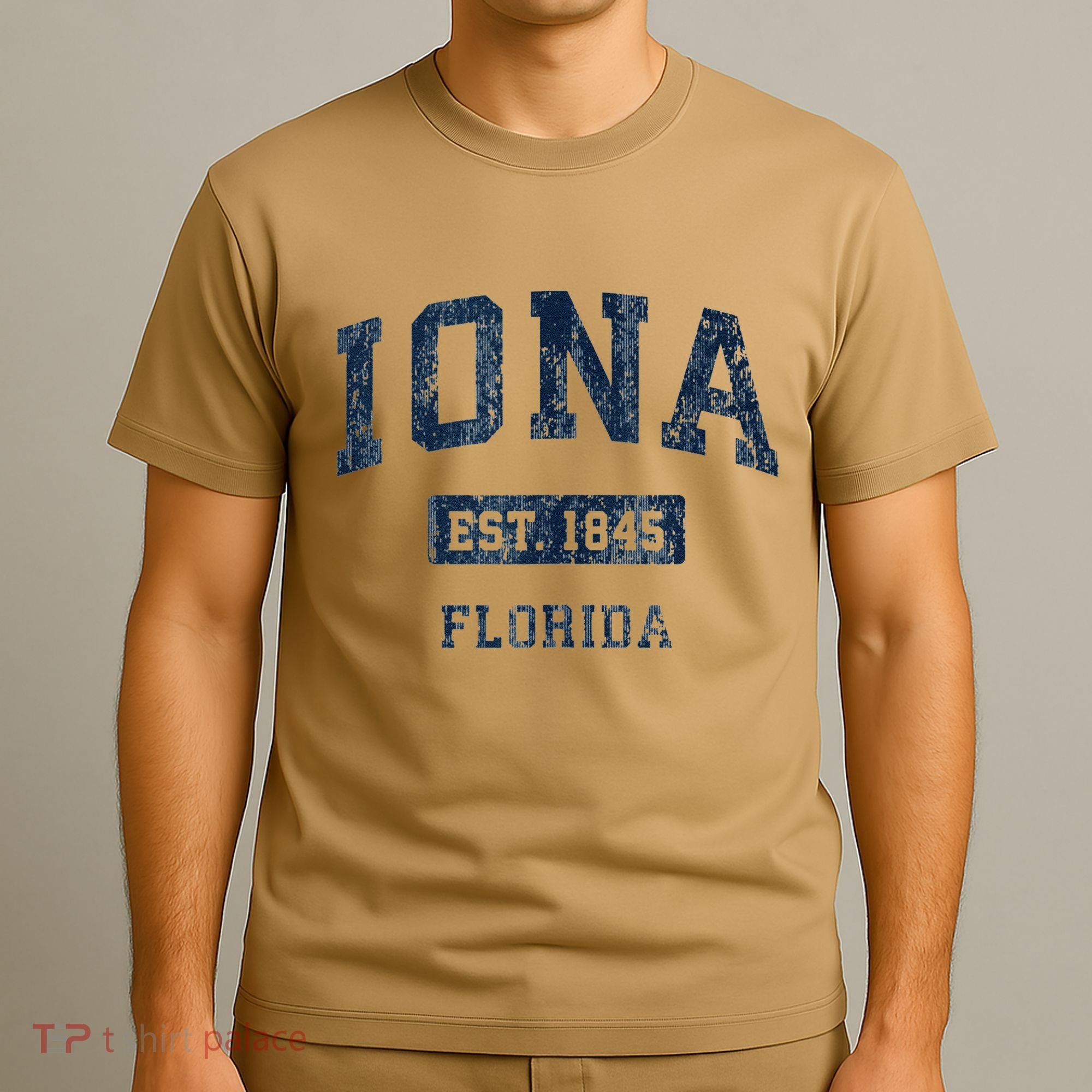 Iona Florida Fl Vintage Established T-Shirt