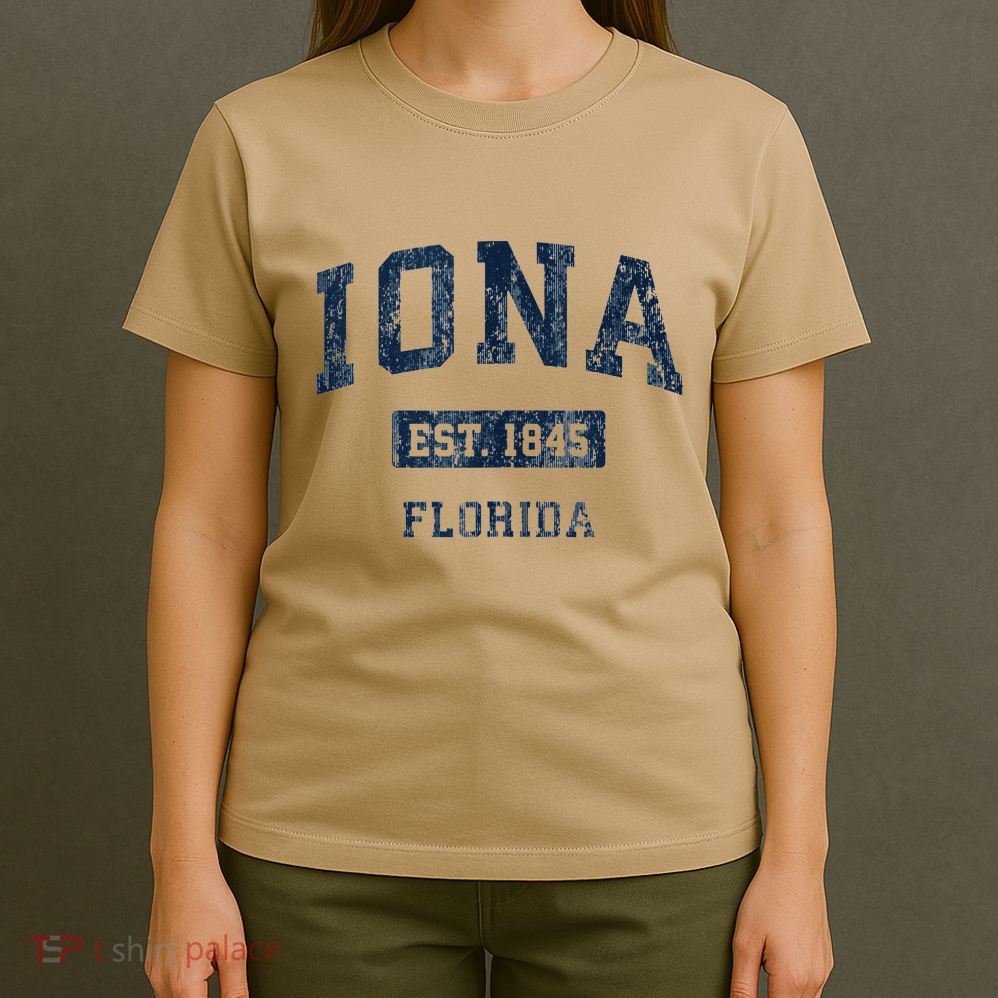 Iona Florida Fl Vintage Established T-Shirt