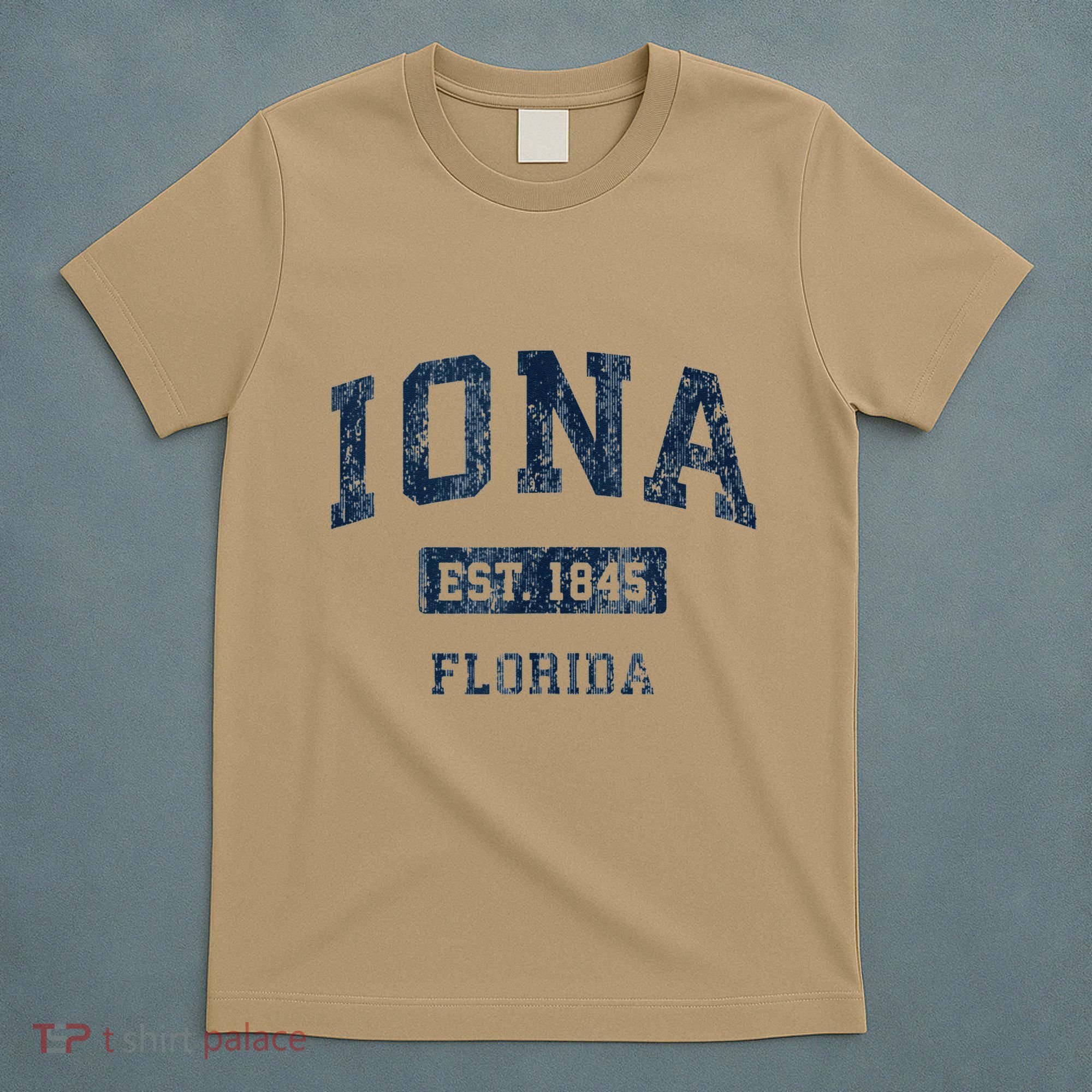 Iona Florida Fl Vintage Established T-Shirt