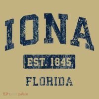 Iona Florida Fl Vintage Established T-Shirt thumb 7