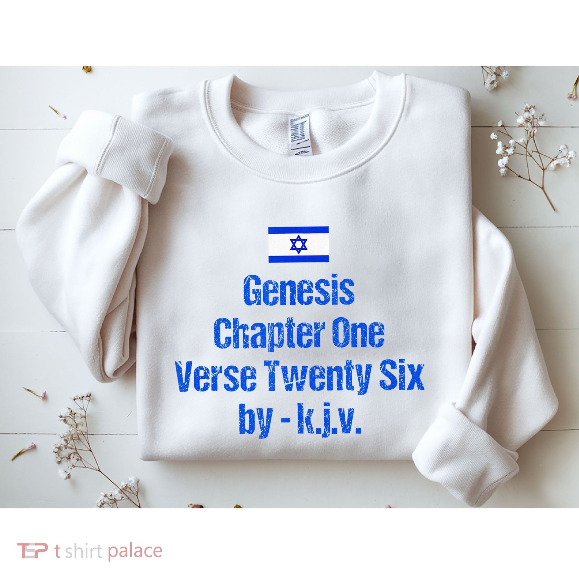 Israel Flag G.E.N.E.S.I.S Chapter One Verse Twenty Six Sweatshirt
