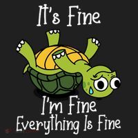 ItS Fine IM Fine Everything Is Under Control Funny Turtle Beanie thumb 2
