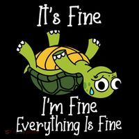 ItS Fine IM Fine Everything Is Under Control Funny Turtle Women's Hoodie thumb 2