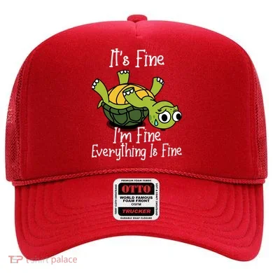ItS Fine IM Fine Everything Is Under Control Funny Turtle Hat