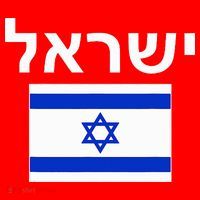 Israel Flag  Israeli Cool Jewish Flags Gift Santa Hat thumb 1