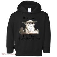 It's Fine I'm Fine Everything Is Fine Angry Cat Funny Quote Toddler Hoodie thumb 0