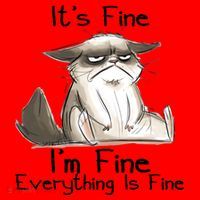 It's Fine I'm Fine Everything Is Fine Angry Cat Funny Quote Santa Hat thumb 1