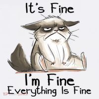 It's Fine I'm Fine Everything Is Fine Angry Cat Funny Quote Hoodie thumb 7