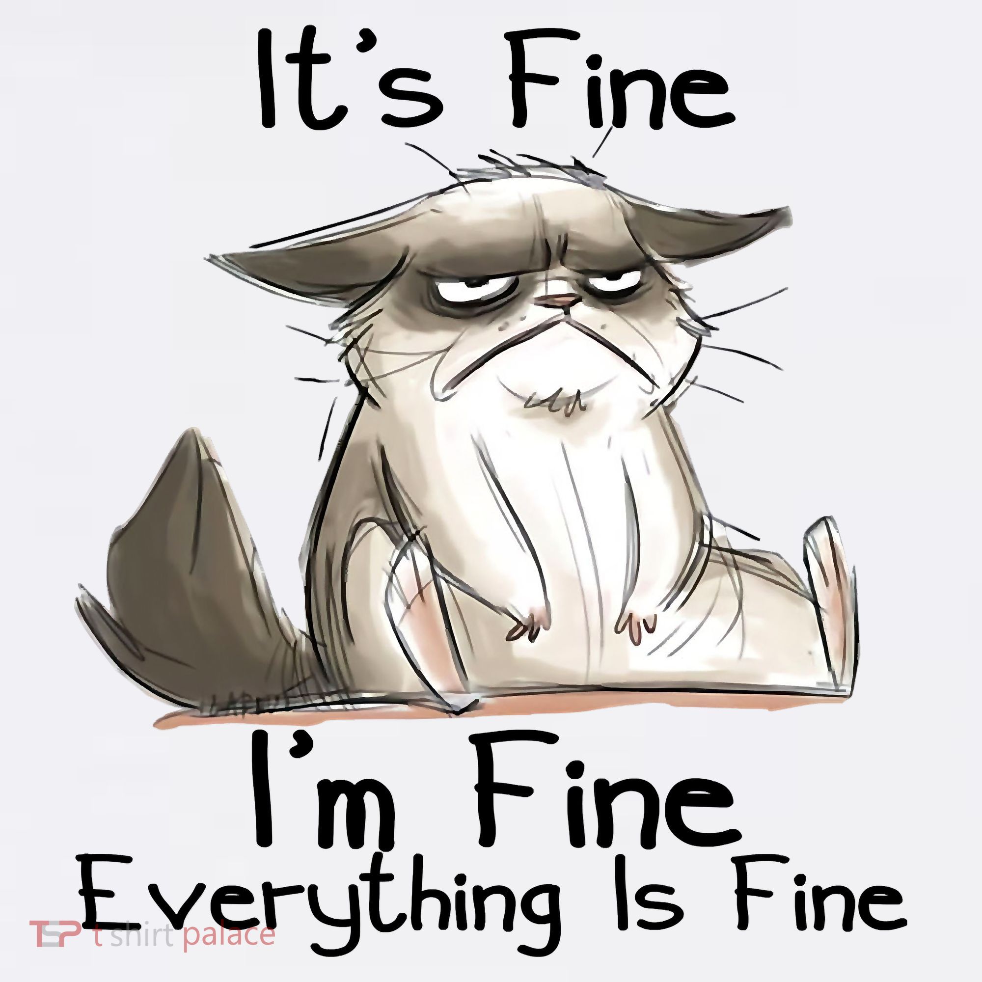 It's Fine I'm Fine Everything Is Fine Angry Cat Funny Quote Women's Hoodie