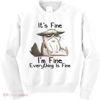It's Fine I'm Fine Everything Is Fine Angry Cat Funny Quote Kids Sweatshirt thumb 0