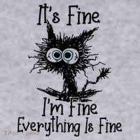 It's Fine I'm Fine Everything Fine Cat Cute Cat Women's Sweatshirt thumb 2