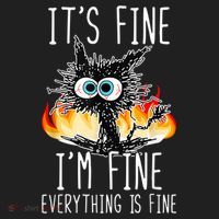 It's Fine I'm Fine Everything Is Fine Funny Cat Women's Sweatshirt thumb 2