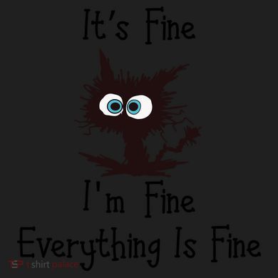 It's Fine I'm Fine Everything Is Fine Funny Cat Urban Oversized Heavyweight T-Shirt
