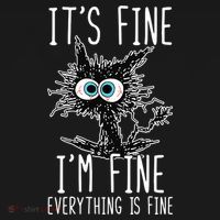 It's Fine I'm Fine Everything Is Fine Funny Black Cat Pajama Set thumb 2