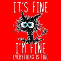 It's Fine I'm Fine Everything Is Fine Funny Black Cat Santa Hat thumb 1