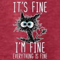 It's Fine I'm Fine Everything Is Fine Funny Black Cat T-Shirt thumb 5