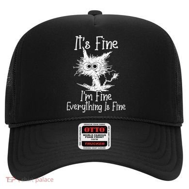 Its Fine Im Fine Everything Is Fine Funny Cat Hat