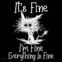 Its Fine Im Fine Everything Is Fine Funny Cat Women's T-Shirt thumb 6