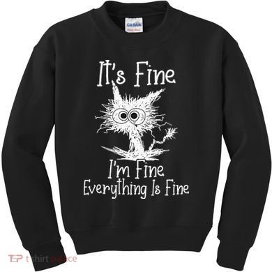 Its Fine Im Fine Everything Is Fine Funny Cat Kids Sweatshirt