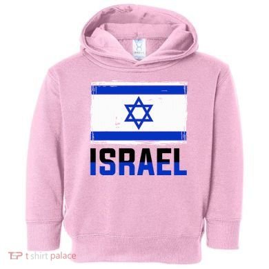 Israel Flag Israel Toddler Hoodie