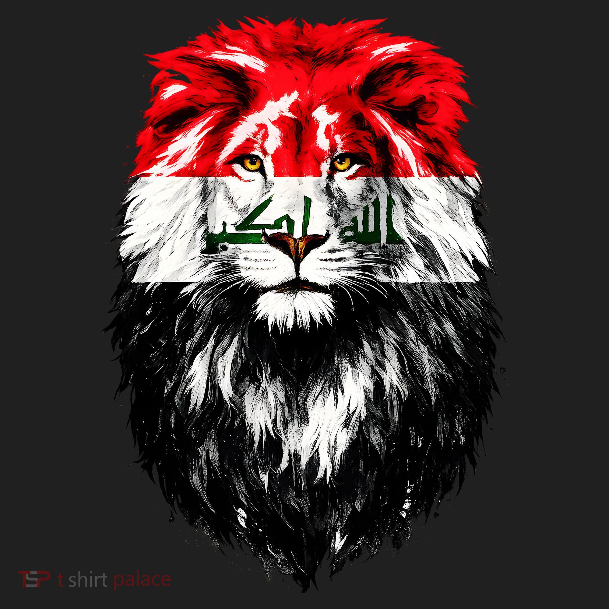 Iraqi Flag Iraq Pride Lion Face Beanie