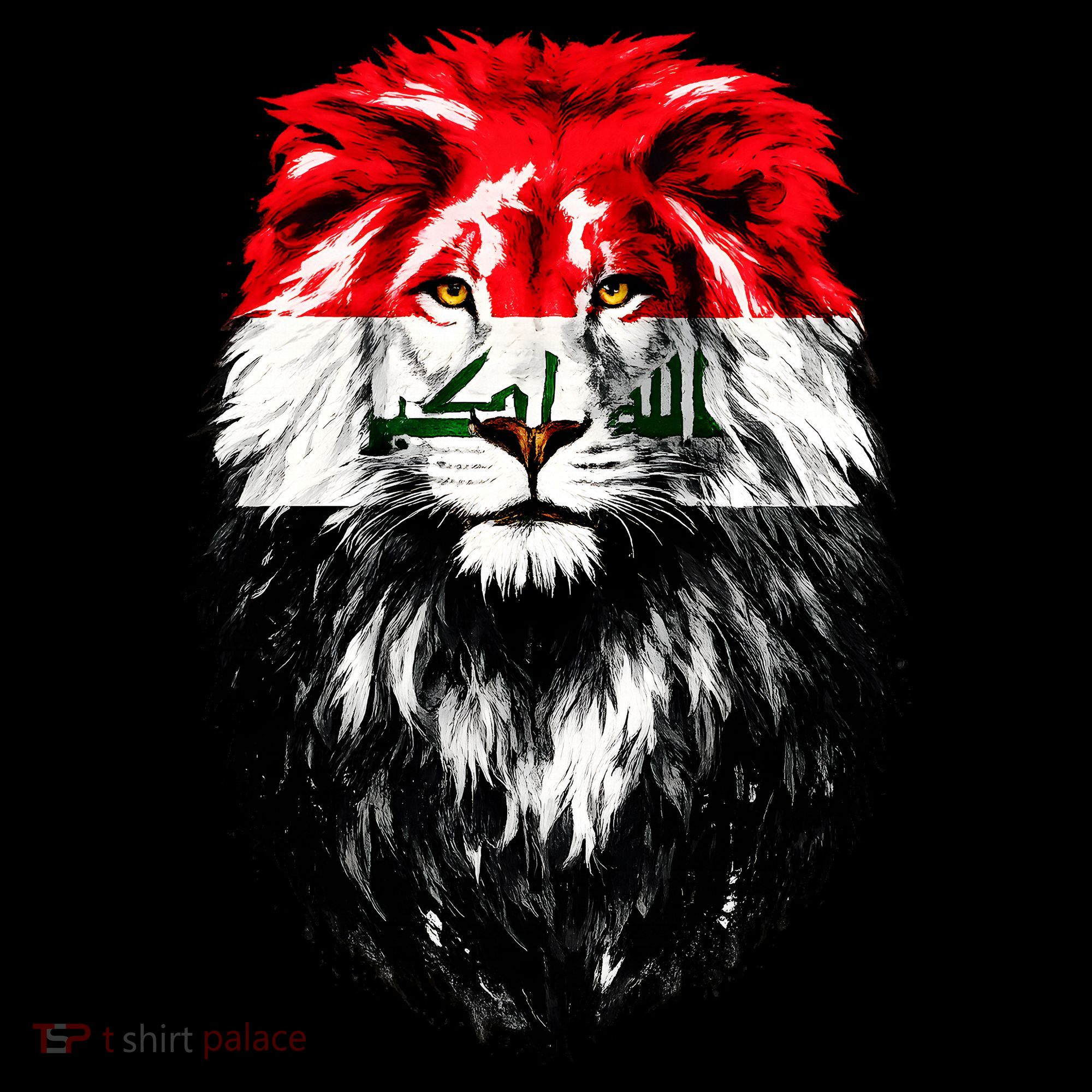 Iraqi Flag Iraq Pride Lion Face Women's Hoodie