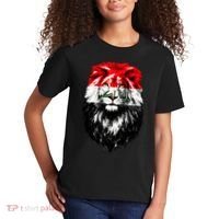 Iraqi Flag Iraq Pride Lion Face Kids T-Shirt thumb 2